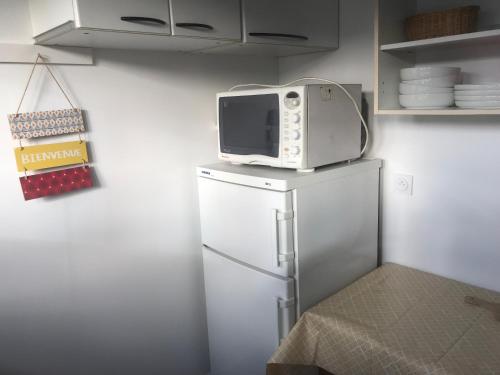 un micro-ondes posé sur un réfrigérateur dans l'établissement Chambre d hote, à Enghien-les-Bains