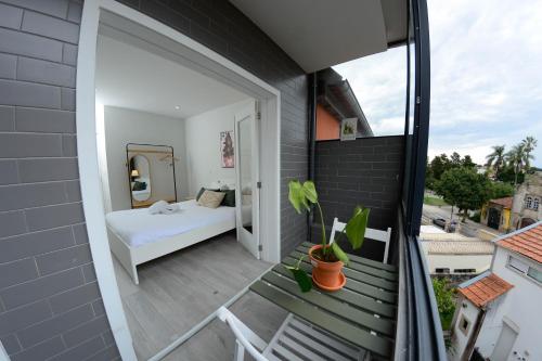 Travel and Live Apartments