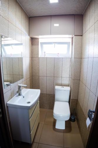 a bathroom with a toilet and a sink and a mirror at Lily's Guest House in Shahumyan