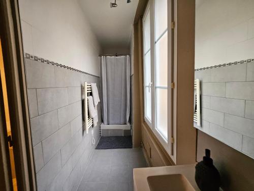 une salle de bain avec un lavabo et une douche dans l'établissement Appartement cosy hyper centre, à Troyes
