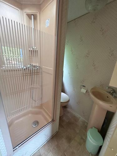une salle de bain avec une douche, des toilettes et un lavabo dans l'établissement Mobil-home Vintage au bord de la rivière, à Tardets-Sorholus