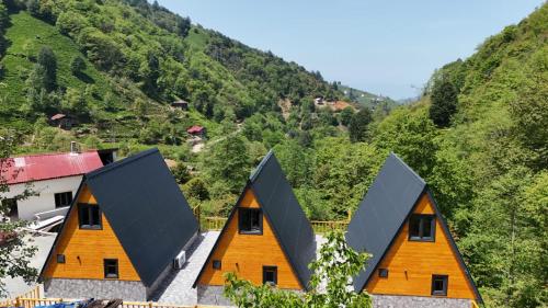 a house with black roofs on a mountain at AĞARAN Wooden Houses 2 in Cayeli