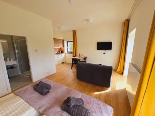 a living room with a couch and a television at Apartment Arber Šumava in Čachrov