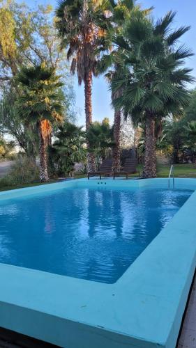 a blue swimming pool with palm trees in the background at La huella Jáchal - Casas de Campo in San José de Jáchal