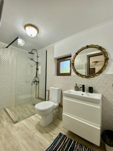 a bathroom with a toilet and a sink and a mirror at Casa David 13D in Nimăeşti