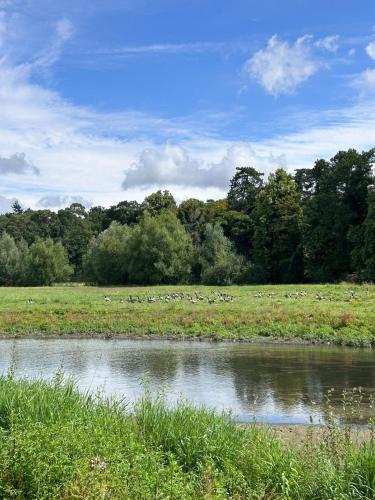 a herd of sheep grazing in a field next to a river at Hertford Farm riverside camping firepit bbq in Hertford