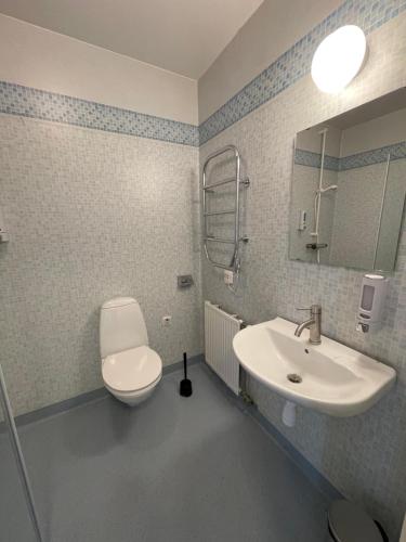 a bathroom with a toilet and a sink at långstorp in Höör