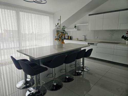 Kuchyň nebo kuchyňský kout v ubytování Modern Apartment in very quiet location in Darıca, Istanbul