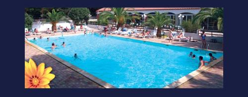 une grande piscine bleue avec des gens dedans dans l'établissement Mobil home charmant, à Argelès-sur-Mer