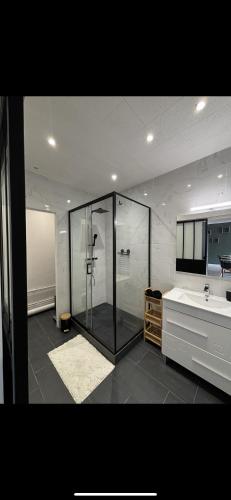 une salle de bain avec douche et lavabo dans l'établissement Grand appartement Roanne centre, à Roanne