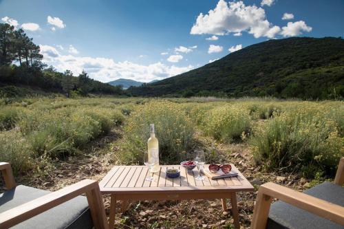 - une table de pique-nique avec une bouteille de vin sur un champ dans l'établissement Gîte isolé au cœur du vignoble, à Roquebrun