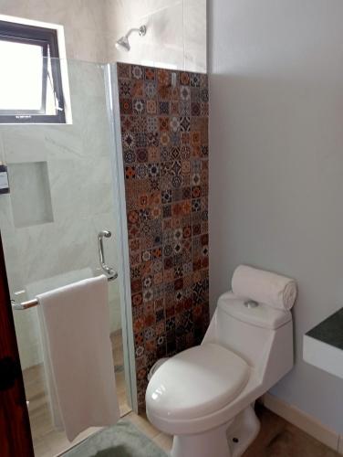 a white bathroom with a toilet and a shower at Quinta Mercedes in Guanajuato