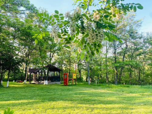 a park with a playground and a gazebo at Agropensiunea La Prisaca in Orhei