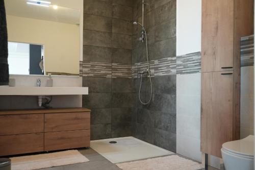 une salle de bain avec douche et lavabo dans l'établissement La Farnientaise - 10 pers, boulodrome, clim, piscine, billard, à Bonnieux