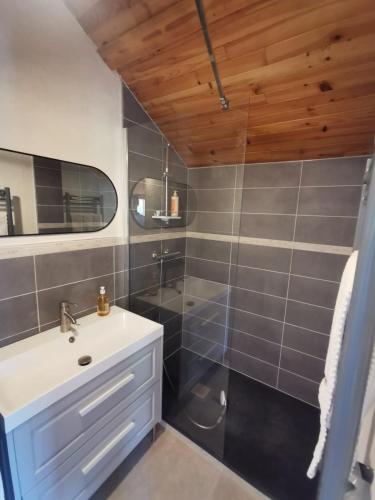 une salle de bain avec un lavabo et une douche dans l'établissement Grand appartement individuel, à Vallouise