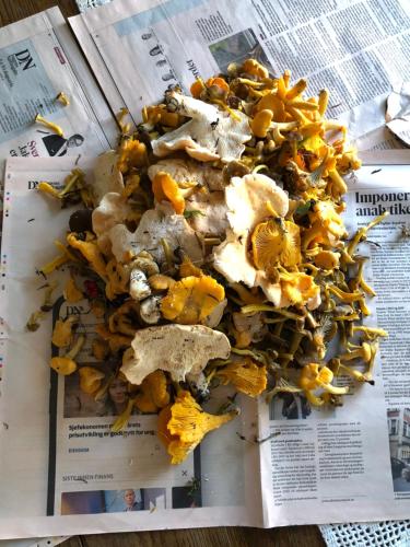 a pile of food on top of a newspaper at Handelsmannens hus ved Otnesbrygga, Valsøyfjord in Otnes