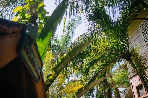 Giardino di Tranquilseas Eco Lodge & Dive Center