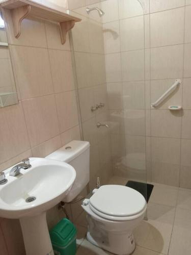a bathroom with a toilet and a sink at Alojamiento Práctico y acogedor in Zapala