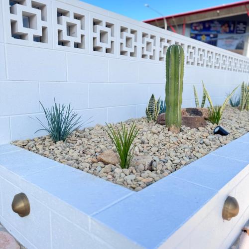 a succulent garden with a cactus and gravel at Surfside 22 in Wollongong