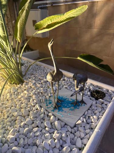 Foto dalla galleria di Loft con SPA exterior climatizado Villa IRI a Pineda de Mar