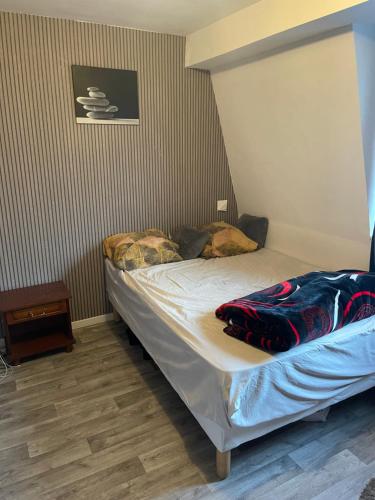 Ce petit lit se trouve dans une chambre dotée d'un canapé-lit. dans l'établissement Chambre charmante, à Roubaix
