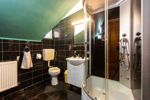 a bathroom with a shower and a toilet and a sink at Villa Falco Bianco in Buşteni