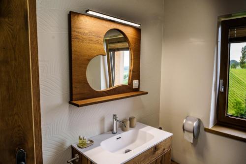 a bathroom with a sink and a mirror at Rooms Dreisiebner at the Heart in Zgornja Kungota