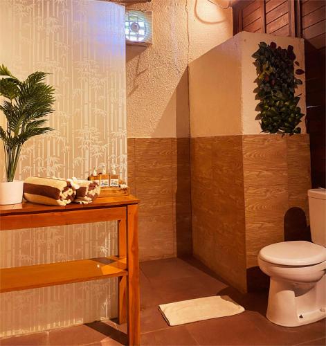a bathroom with a toilet and a shower at D'padang villa & Homestay in Uluwatu
