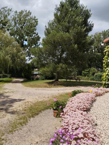 a garden with pink flowers in a park at Maison au calme avec vue étang in Clessé