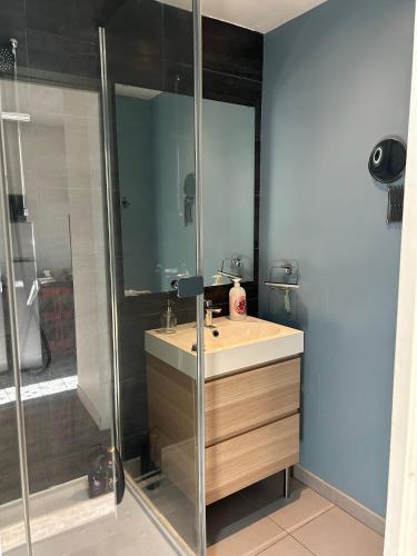 une salle de bain avec un lavabo et une douche dans l'établissement Le Léon Blum métro Jolimont, à Toulouse