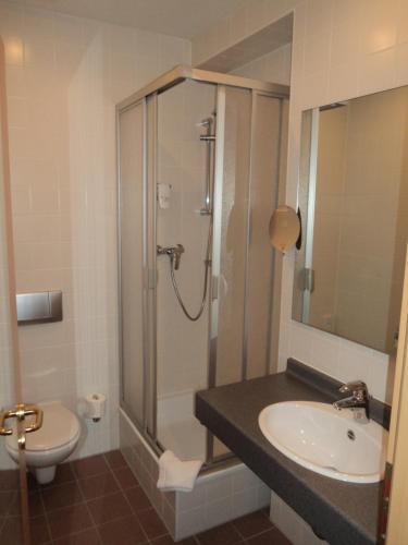 a bathroom with a shower and a sink and a toilet at Willow Hotel Restaurant in Kötschlitz