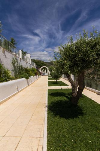 a walkway with a tree in the grass at Residence Montelci in Mattinata