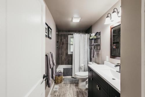 a bathroom with a toilet and a sink and a shower at Spacious & Updated MQT Home - HotTub - Backyard in Marquette