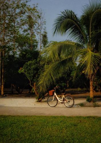 a bike parked on a sidewalk next to a palm tree at Waste Land Homestay & Resort Chiangmai in San Pa Tong