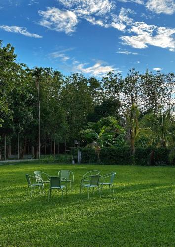 a group of chairs sitting in the grass at Waste Land Homestay & Resort Chiangmai in San Pa Tong