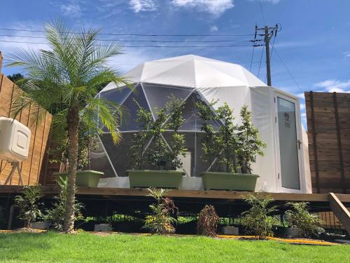 a dome house with plants in a yard at リバウッドリゾート in Mori