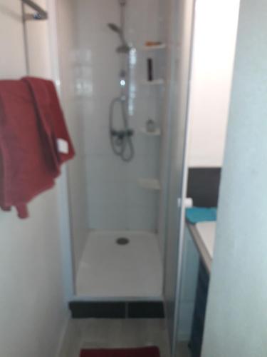 La salle de bains est pourvue d'une douche et d'une serviette rouge. dans l'établissement Studio 107, à Aix-en-Provence