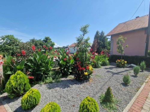 Zahrada ubytování B&B Majhen
