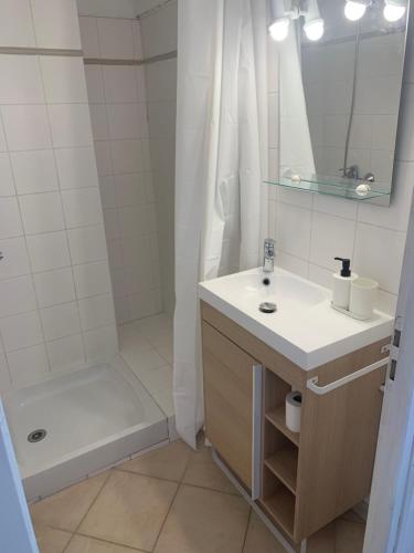 une salle de bain blanche avec un lavabo et une douche dans l'établissement Appartement centre-ville Arles, à Arles