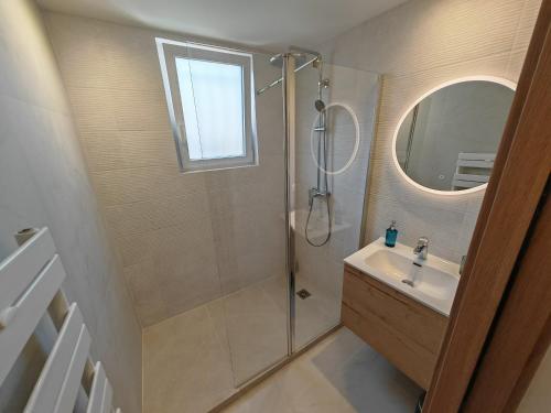 une salle de bain avec une douche, un lavabo et un miroir dans l'établissement Petite villa climatisée Jardin, à Vallauris