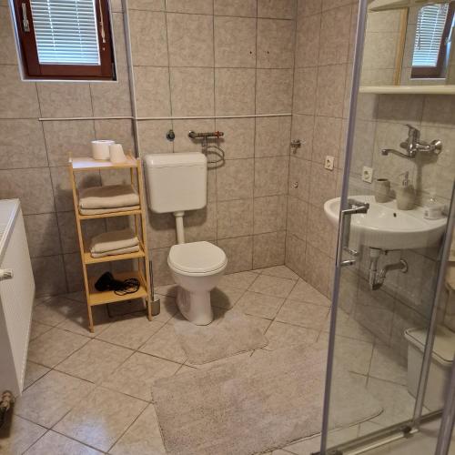 a bathroom with a toilet and a sink at Spacious & Cozy Countryside Apartment in Šenčur