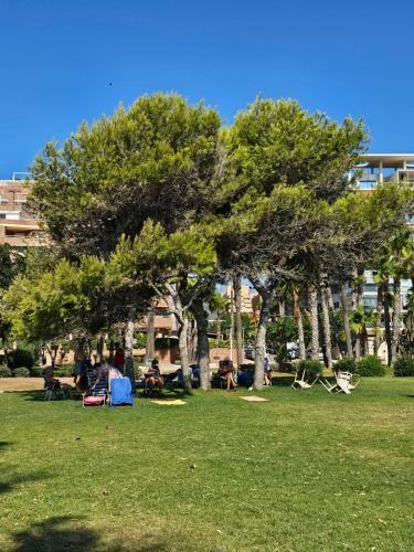 people sitting in chairs under trees in a park at Apartamento Acapulco III Primera linea in Oropesa del Mar