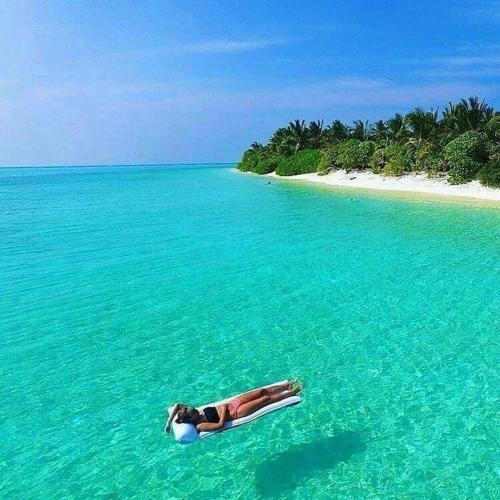 a woman laying in the water in front of a beach at Sunny Beach Thoddoo in Thoddoo