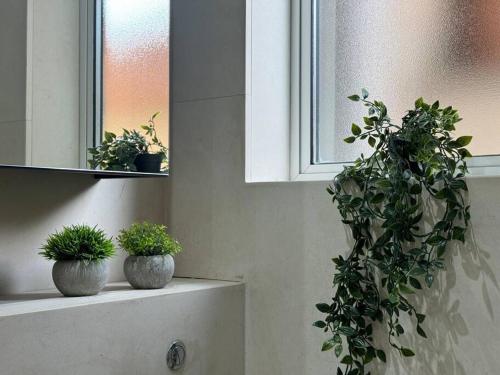 two potted plants sitting on a shelf in a bathroom at Trendy 2BR 2BA Flat in Crystal Palace in Thornton Heath