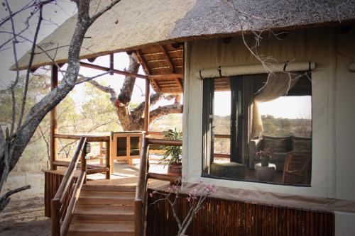 Un balcón o terraza en Sausage Tree Safari Camp