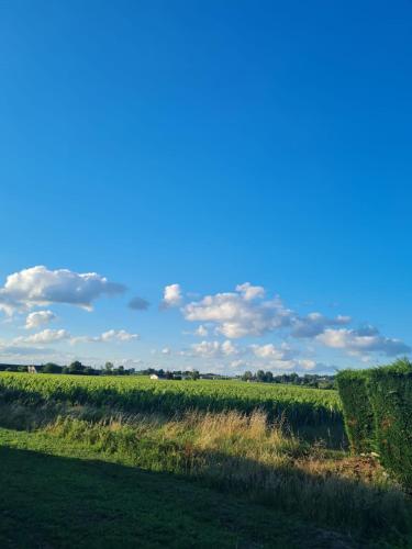 Photo de la galerie de l'établissement 11m2 chambre piscine privée, à Saint-Sulpice-de-Faleyrens