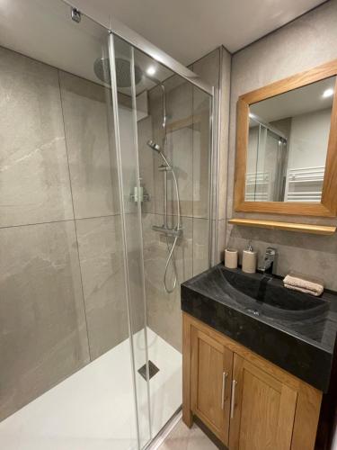 a bathroom with a glass shower and a sink at T4 Champagny, terrasse au calme in Champagny-en-Vanoise