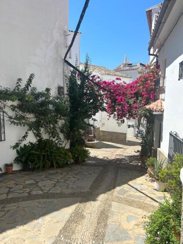 un callejón con flores rosas al lado de un edificio en Tierra Nueva Healing Center, en Torre de Benagalbón