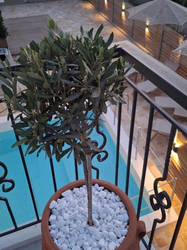 a potted plant sitting on top of a balcony at 5th Continent in Nikiana