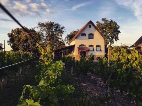 Ubytování ve vinném sklepě - Velké Bílovice